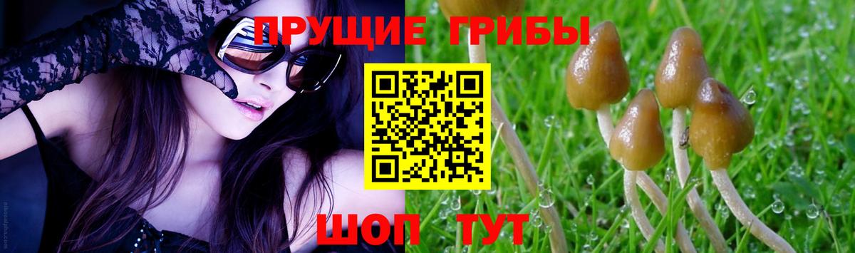 Псилоцибиновые грибы Magic Shrooms  Вход с VPN  Галлюциногенные грибы Psilocybine cubensis  Абакан 